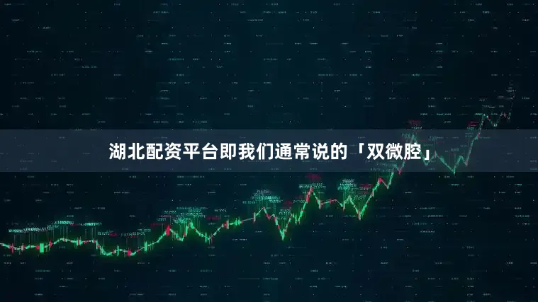 湖北配资平台即我们通常说的「双微腔」