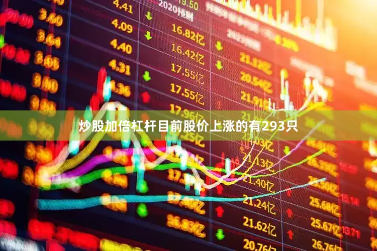 炒股加倍杠杆目前股价上涨的有293只